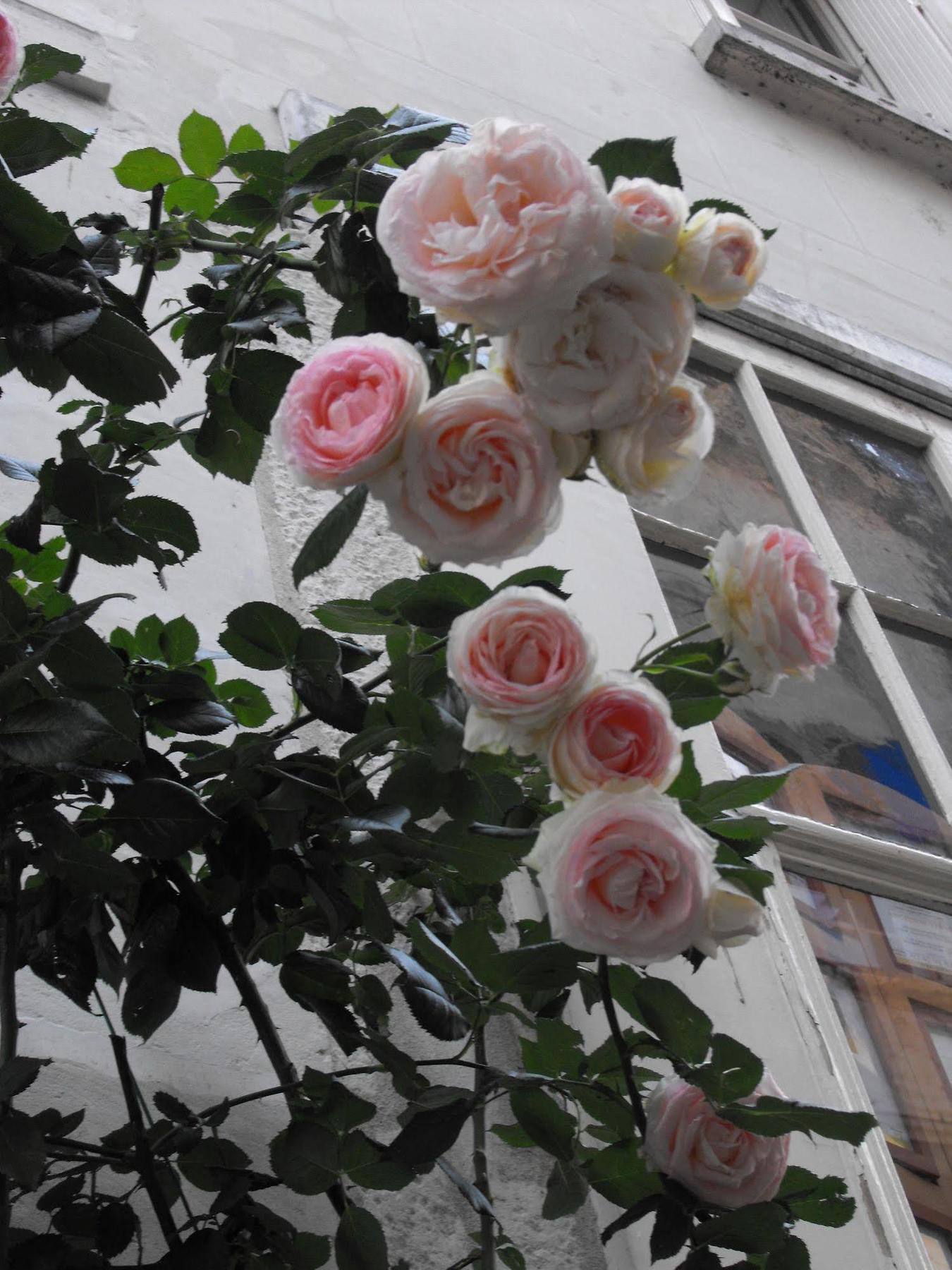La Demeure Saint-Ours Bed and Breakfast Loches Buitenkant foto